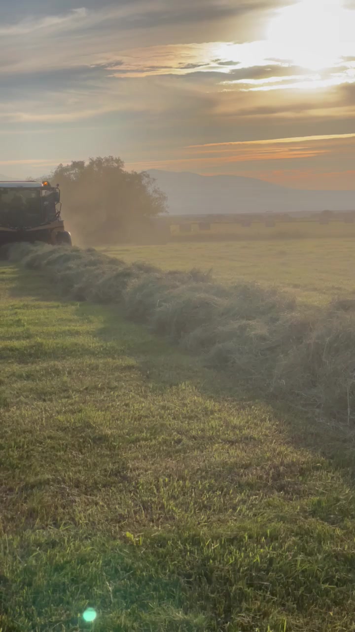 A Shepherd's Garage Vermeer ZR baling hay in Montana near sunset